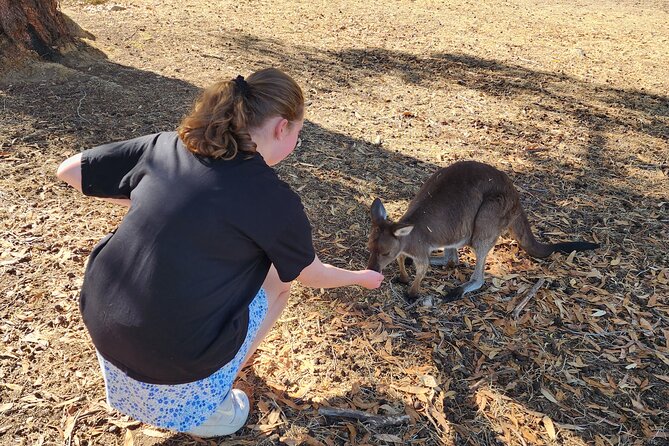 Premium Adelaide Hills Cleland Wildlife and Hahndorf Minibus Tour - Cobb’s Hill Estate: Cheese Platter Plus Optional Wine in the Gardens