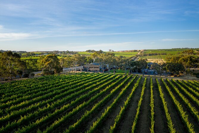 Premium All-Inclusive McLaren Vale Wine and Brew Minibus Tour - Price and Value: What $213.52 Actually Buys You