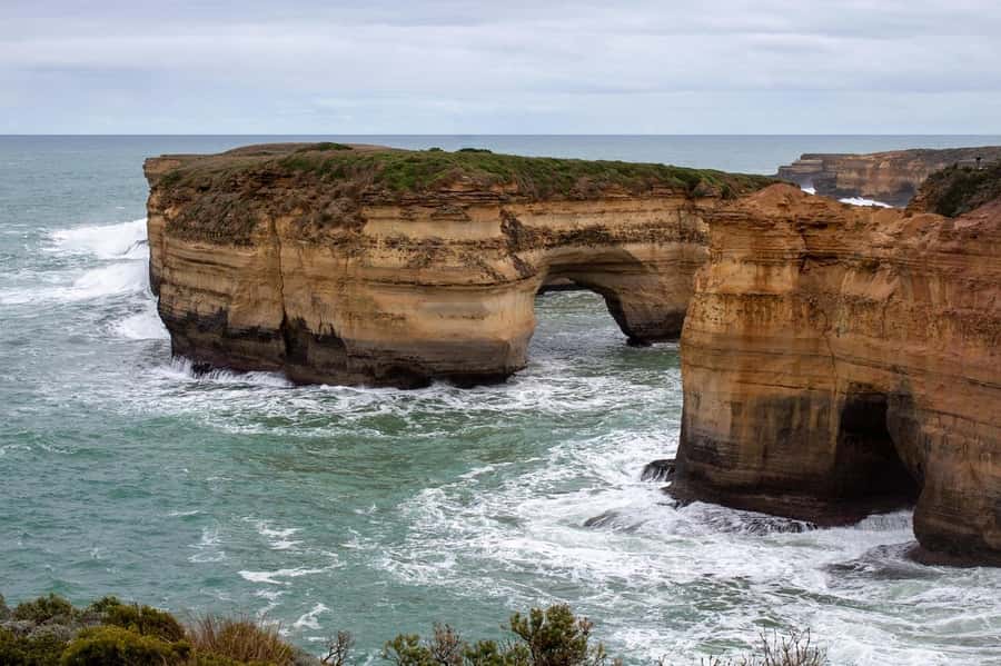 PREMIUM Great Ocean RD Tour REVRS-Luxry SML GRP-Hotel PickUP - Great Otway National Park: rainforest walk in the middle of the drive