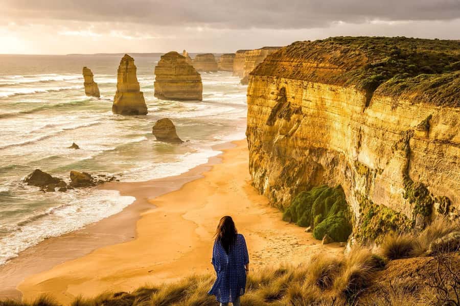 PREMIUM Great Ocean RD Tour REVRS-Luxry SML GRP-Hotel PickUP - Wildlife searching at a secret stop and Kennett River