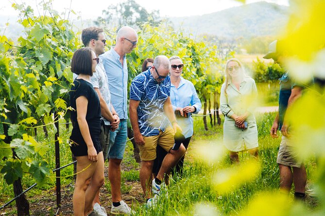 Premium Hunter Valley Wine Tour with Lunch from Sydney - The distillery segment and spirit flavors you might try