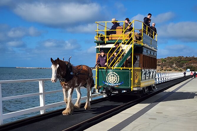 Premium Victor Harbor, Port Elliot and d'Arenberg Minibus Tour - Key points before you go