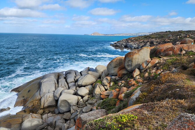 Premium Victor Harbor, Port Elliot and d'Arenberg Minibus Tour - Boomer Beach rock-hopping and seal-spotting reality