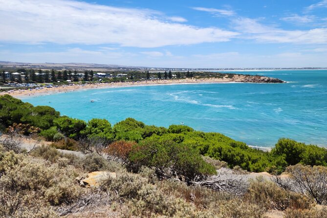 Premium Victor Harbor, Port Elliot and d'Arenberg Minibus Tour - Victor Harbor’s 2-hour window: Granite Island your way