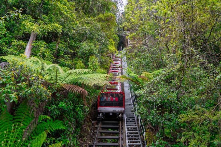 Private Blue Mountains, Scenic World & Wentworth Falls Tour - Three Sisters and Echo Point: The 200 Million Year Story You Can See