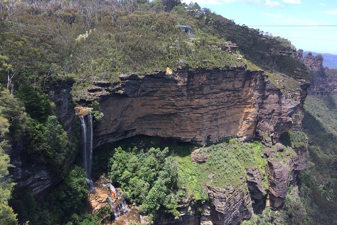 PRIVATE Blue Mountains tour & Koalas, Kangaroos, Cruise plus more - Key Highlights