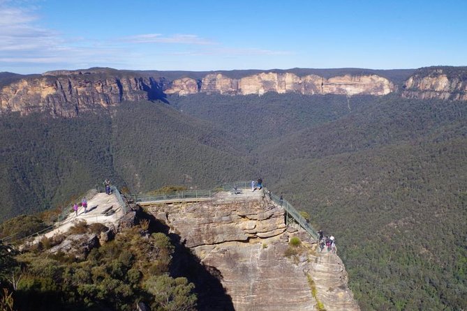 PRIVATE Blue Mountains tour & Koalas, Kangaroos, Cruise plus more - How This Private Blue Mountains Day Really Works