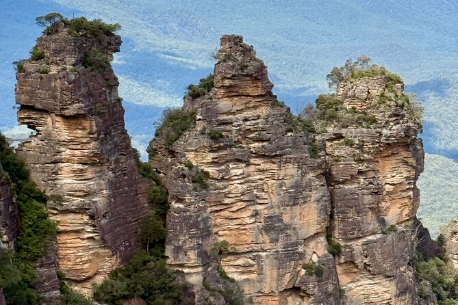 PRIVATE Blue Mountains tour & Koalas, Kangaroos, Cruise plus more - Leura, Village Stops, and Why a Little Slowness Helps