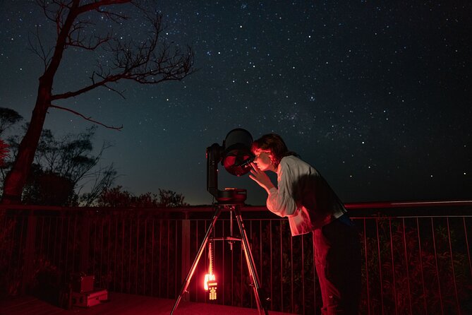 PRIVATE Blue Mountains tour & Koalas, Kangaroos, Cruise plus more - Scenic World, the Steepest Railway Ride, and the Forest Walk