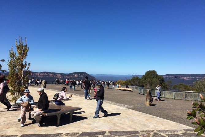 PRIVATE Blue Mountains tour & Koalas, Kangaroos, Cruise plus more - Morning Pickup, Timing, and What to Expect by 10 Hours