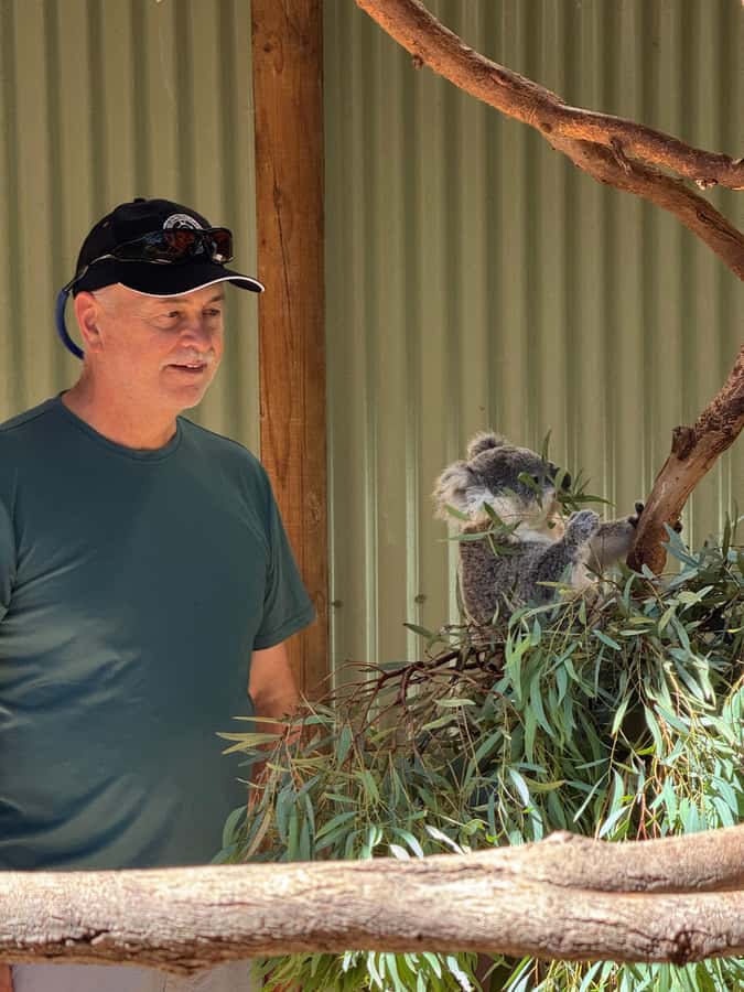 Private BlueMountains, ScenicWorld & AustralianWildlife Tour - A private Blue Mountains and wildlife day, planned around comfort