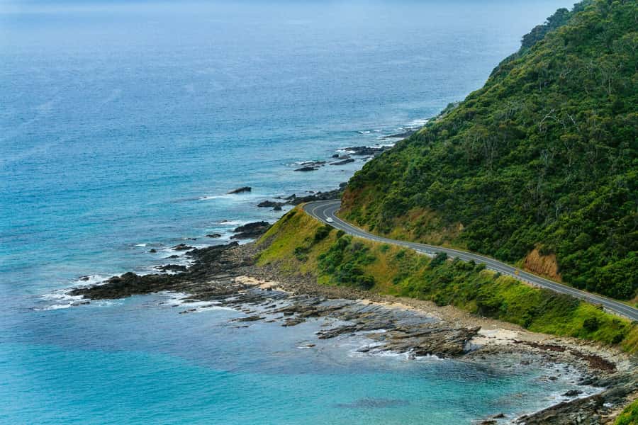 Private Great Ocean Road Tour - Maits Rest Rainforest Walk: Old Growth Trees and a Slower Pace