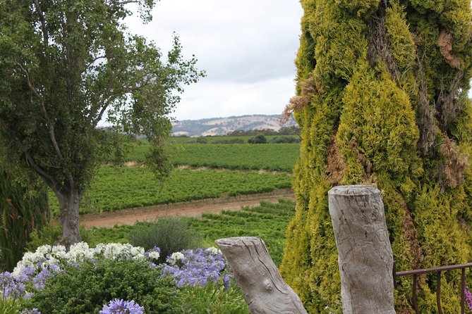 Private McLaren Vale Wine Region Tour from Adelaide - Stop-one energy: Best Wine Tours and what you should expect to taste