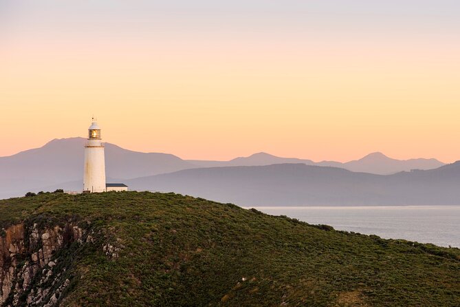 Private Wine and Beverage Tours in Tasmania - How tastings, cider, and distilleries fit your schedule