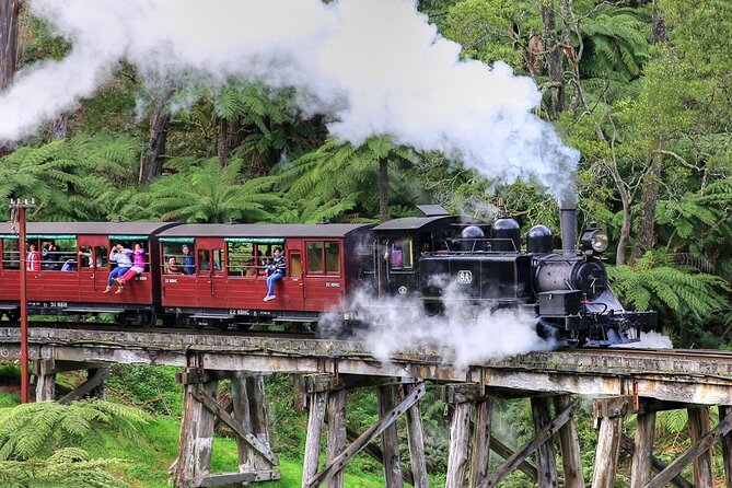 Puffing Billy And Healesville Sanctuary Scenic Tour - Key points to know before you go