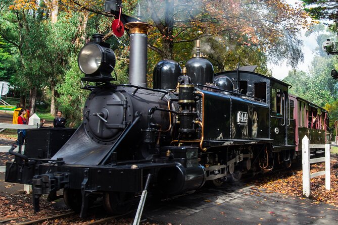 Puffing Billy And Healesville Sanctuary Scenic Tour - Leaving Melbourne with comforts that matter