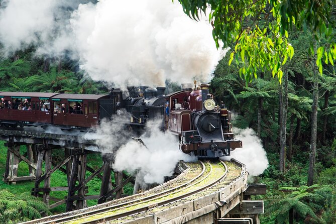 Puffing Billy And Healesville Sanctuary Scenic Tour - Puffing Billy steam train: the highlight, plus queue reality