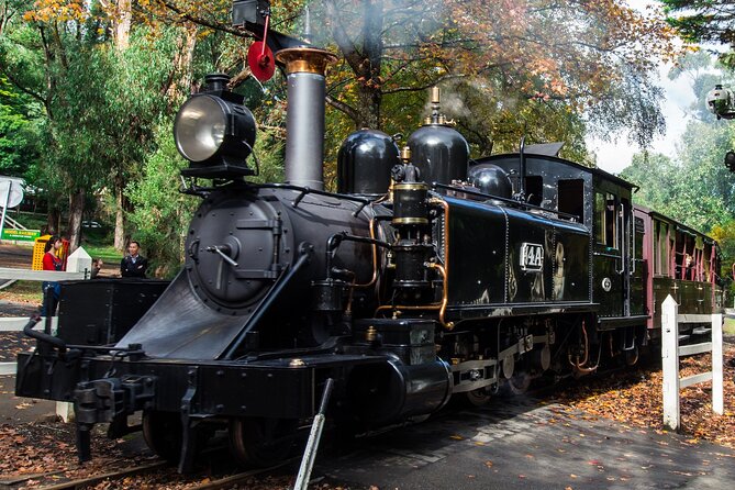 Puffing Billy And Phillip Island Penguin Parade Bus Tour - Puffing Billy from Emerald Lake Park to Belgrave: the steam train portion you’ll remember