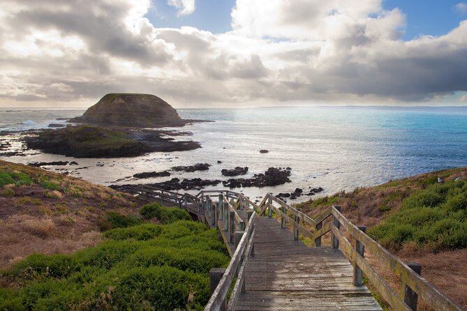 Puffing Billy And Phillip Island Penguin Parade Bus Tour - Who should book this tour (and who might want a different plan)