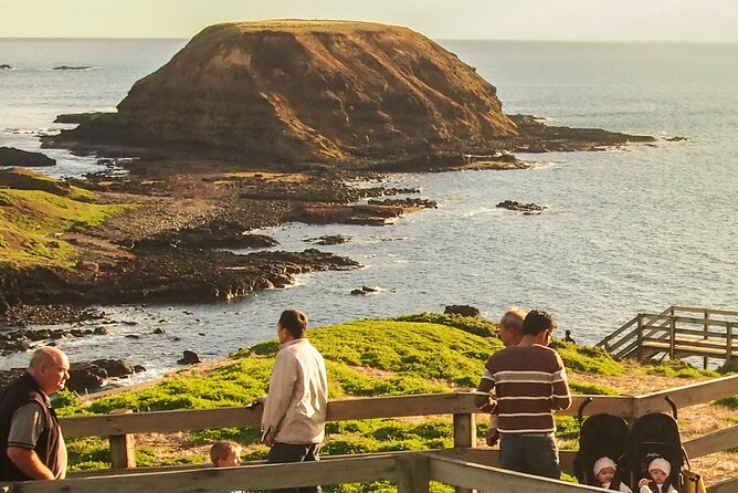 Puffing Billy And Phillip Island Penguin Parade Bus Tour - Getting from Melbourne: pickup, coach comfort, and realistic timing