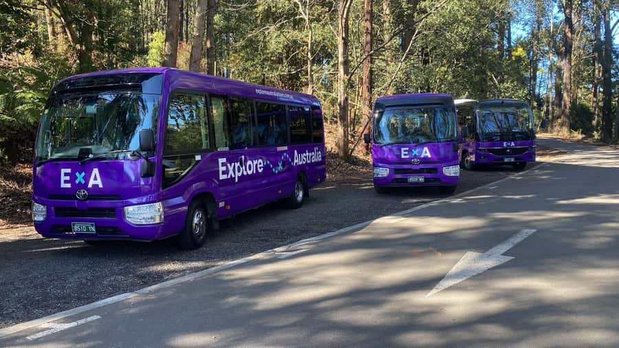 Puffing Billy, Healesville Sanctuary & Chocolatier - Value Check: Skip the Ticket Line, Get Three Big Experiences