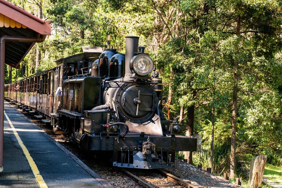Puffing Billy, Healesville Sanctuary & Chocolatier - Melbourne Pickup and the 10-Hour Rhythm