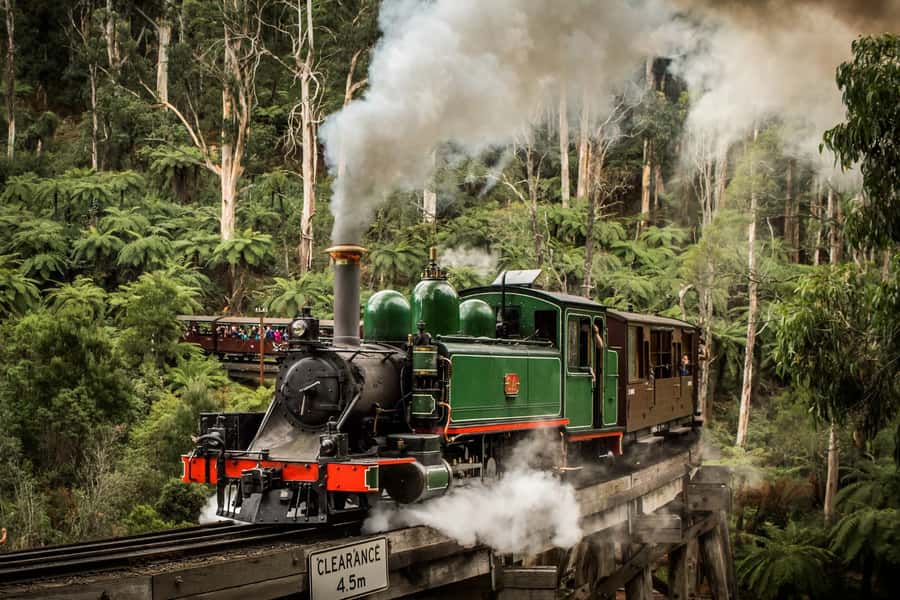 Puffing Billy Penguin Parade Winery Chocolaterie All-in-One - The Steam Train at Puffing Billy: Iconic Ride, Weather Dependent