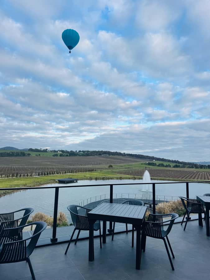 Puffing Billy Penguin Parade Winery Chocolaterie All-in-One - Guides Who Keep the Day Running Smoothly