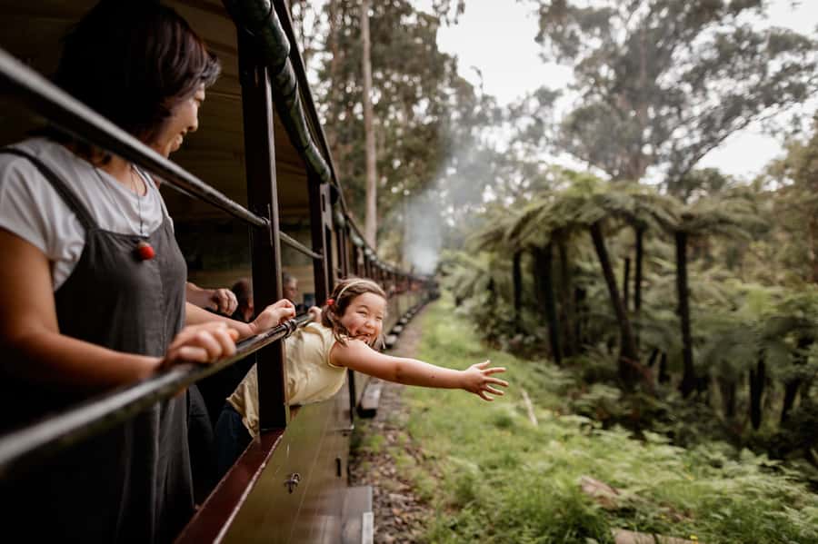 Puffing Billy Railway: Heritage Steam Train Journey - Puffing Billy in the Dandenong Ranges, Why It Feels Like a Time Machine