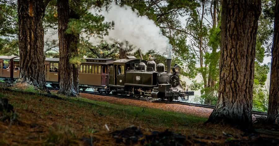 Puffing Billy Railway: Heritage Steam Train Journey - On Board the Heritage Carriages: Where to Sit, What to Do With Your Legs