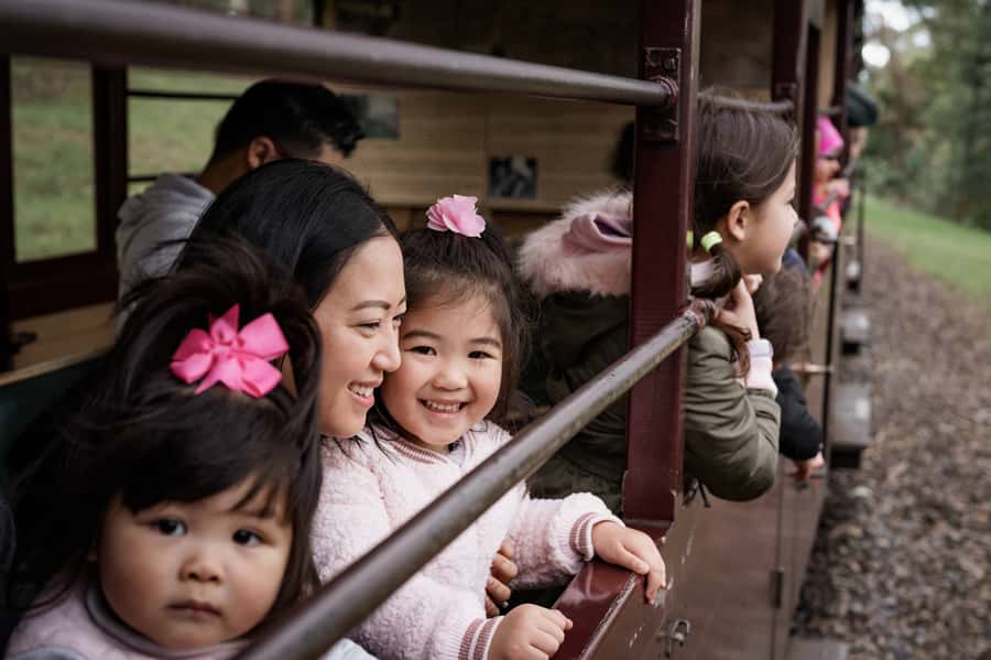 Puffing Billy Railway: Heritage Steam Train Journey - The Journey Through the Dandenong Ranges: What the Train Experience Delivers