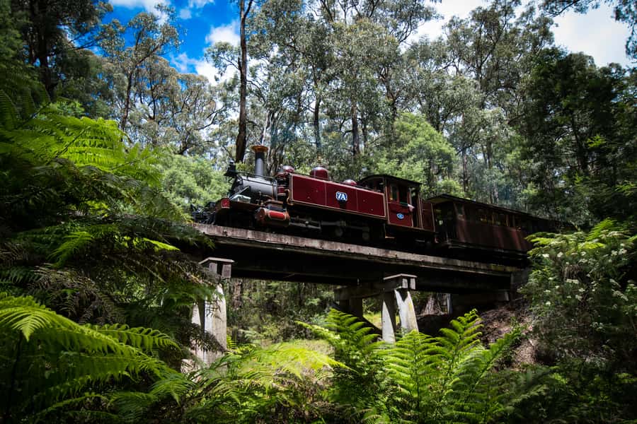 Puffing Billy Railway: Heritage Steam Train Journey - Price and Value: Is $29 Worth It for a Half-Day?