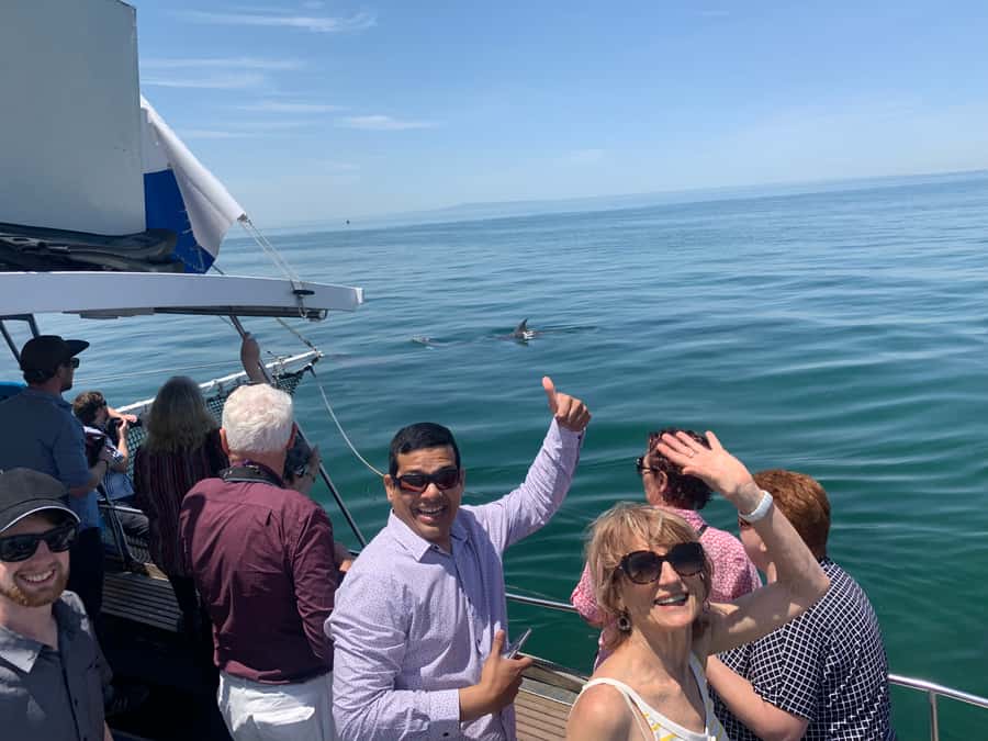 Queenscliff: 1.5hr Harbour Wildlife Sightseeing Cruise Tour - Queenscliff Harbour to Port Phillip Heads: what 90 minutes really feels like