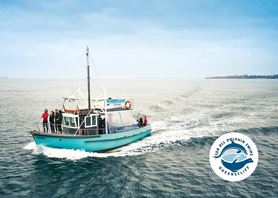Queenscliff Harbour: 3.5hr Seal & Dolphin Snorkelling Tour - Instructor-led safety, with a real example from the day