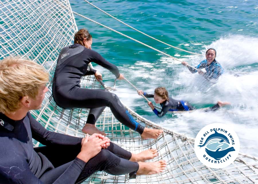 Queenscliff Harbour: 3.5hr Seal & Dolphin Snorkelling Tour - Price and value: what $148 gets you in real experience time