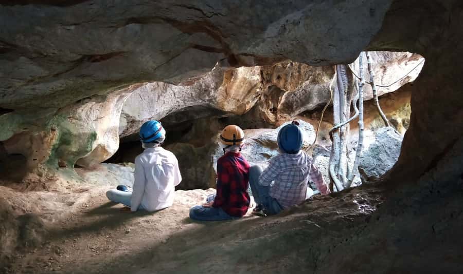 Queensland: 90 Minute Capricorn Caves Explorer Tour - Key highlights to look for in this tour