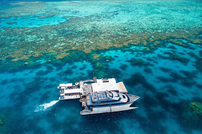 Quicksilver Great Barrier Reef Snorkel Cruise from Port Douglas - Port Douglas to Agincourt Reef: the day’s flow and logistics