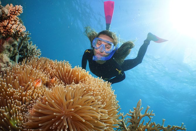 Quicksilver Great Barrier Reef Snorkel Cruise from Port Douglas - Guided snorkeling, Ocean Walker helmet time, and other add-ons