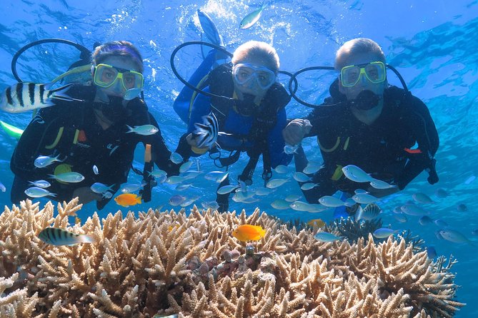 Quicksilver Great Barrier Reef Snorkel Cruise from Port Douglas - Scuba for first-timers and certified participants: age, timing, and health checks