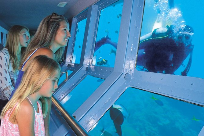 Quicksilver Great Barrier Reef Snorkel Cruise from Port Douglas - Agincourt Reef pontoon: why the moored platform matters
