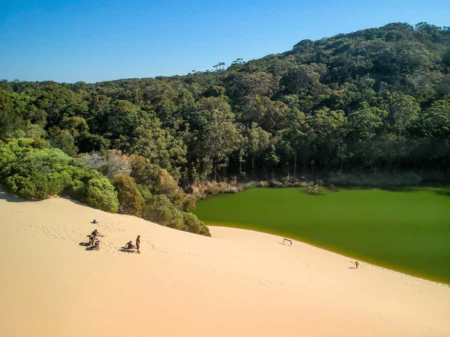 Rainbow Beach: 3-Day K'gari (Fraser Island) 4WD Adventure - Weather, wildlife, and the small choices that make the trip better