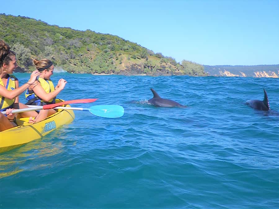 Rainbow Beach: Kayaking with Dolphins and Beach 4WD Tour - Double Island Point kayaking: what the paddling part really involves