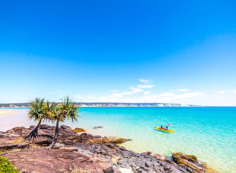 Rainbow Beach: Kayaking with Dolphins and Beach 4WD Tour - Wildlife on the route: dolphins, whales, turtles, rays, and that ocean “busy” feeling
