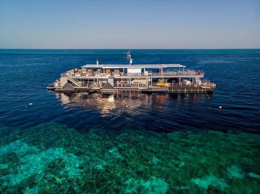 Reef Sleep: 2-Day Great Barrier Reef Pontoon & Gourmet Meals - What the Reef Sleep pontoon night is really like