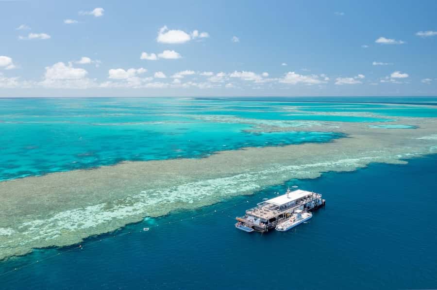Reef Sleep: 2-Day Great Barrier Reef Pontoon & Gourmet Meals - Morning return to the reef: more time, fewer crowds