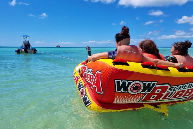 Remote Fraser Island Experience - Wildlife spotting plan: dolphins, turtles, dingoes, and seasonal humpbacks