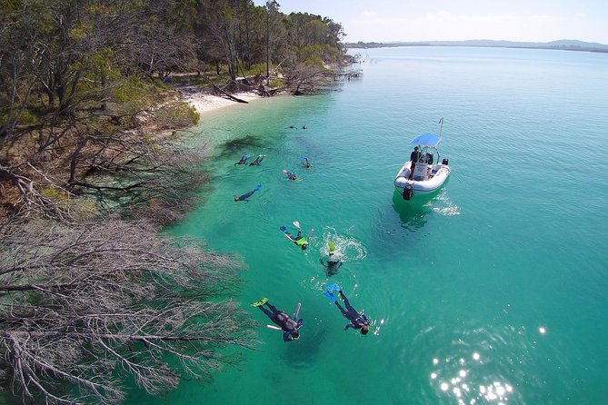 Remote Fraser Island Experience - Lunch and tea stops that actually keep you going