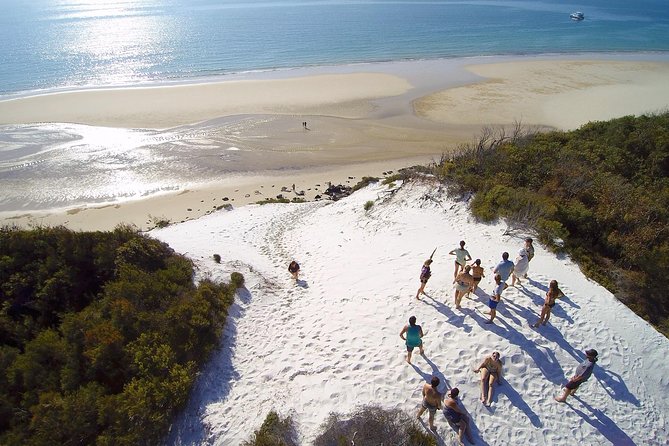 Remote Fraser Island Experience - Price and value: what $185.77 buys you in real time