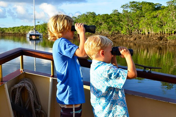 River Cruise - Crocodile Chances: Timing, Weather, and the Reality of Wildlife