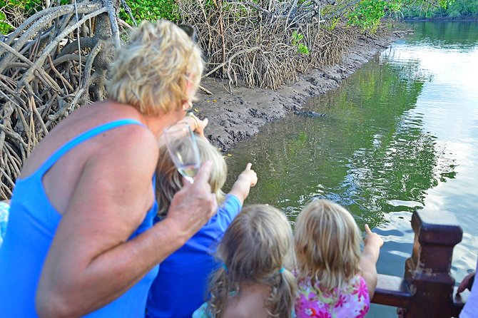 River Cruise - The Dickson Inlet Route: Crocs, Birds, and That Marshy-World Vibe